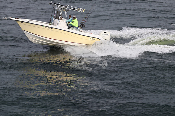 FL1588NU.12