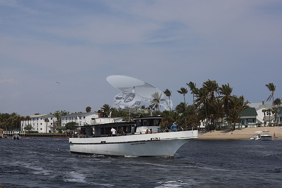 FISH CITY PRIDE.201