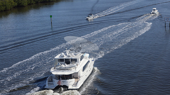 BLUE ABYEE.ST. AUG. FL. HORIZON.19