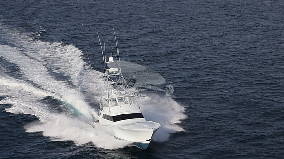 CHASIN TAIL.SINGER ISLAND.2964