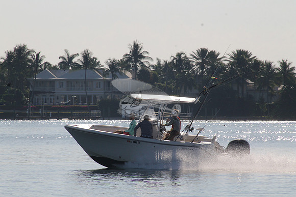 FL2003SD.08