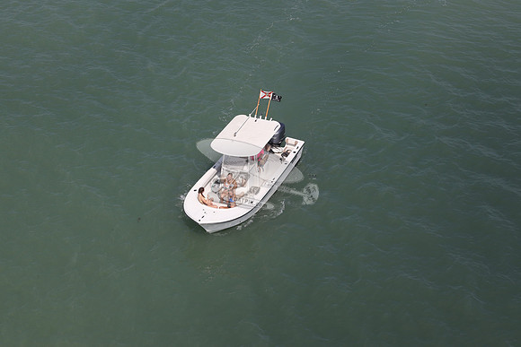 fl1367rp.8155