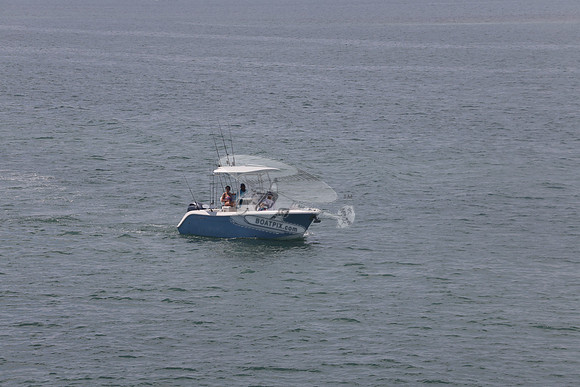 cobia.one yamaha.07