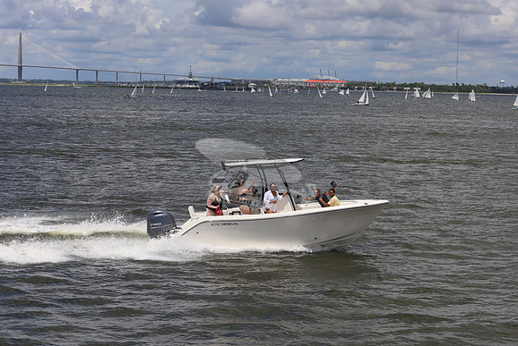 Cobia.yamaha.11