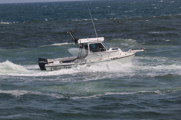 FL1964SV.PILLOW PRINCESS.2