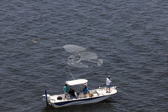Carolina Skiff.Suzuki.2