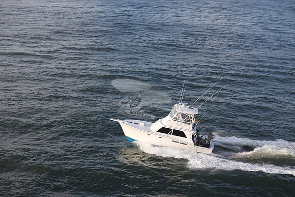 all in.oceac city md.1048