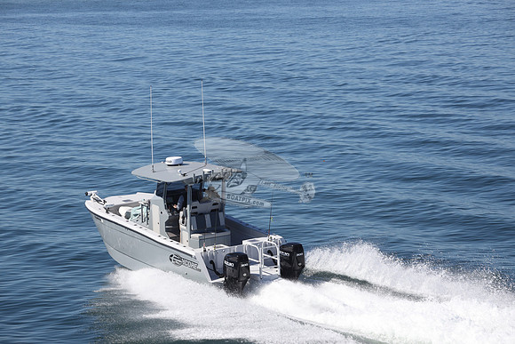 FL8410TH.01
