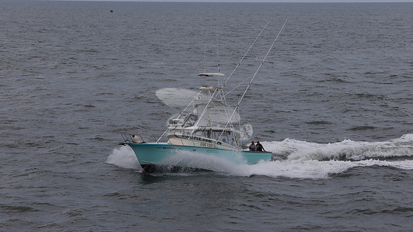 697155.hull's sea lover.ponce inlet fl.9436