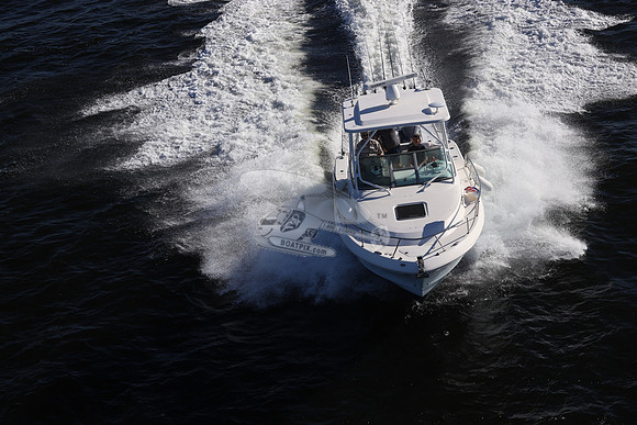ACCI-DENTAL.JAX FL.ROBALO.21