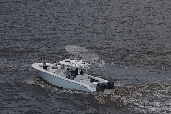 al.yellowfin.07