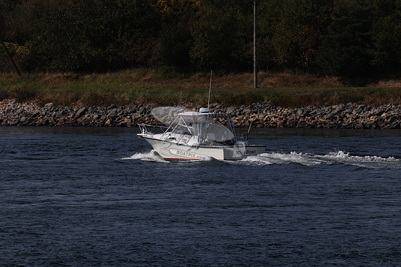 ms99909bn.10