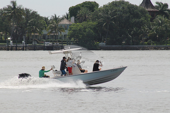 fl0858pb.08