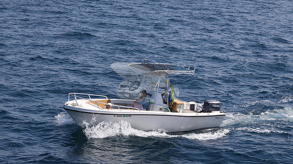FL0253DE.16