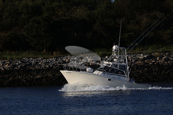 reel tight.topaz.3