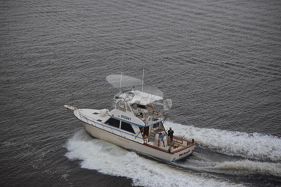915841.WILD ROVER III.1216