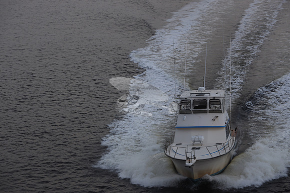 915841.WILD ROVER III.CAROLINA BCH NC.19