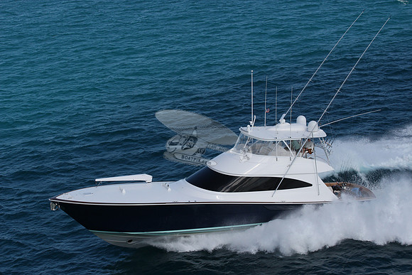 fins up.5880