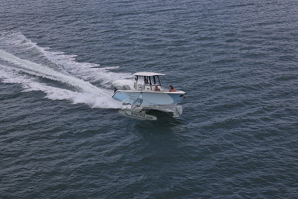 COBIA.2 YAMAHA'S.17