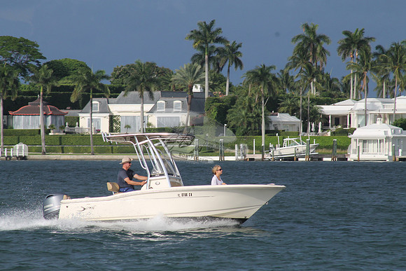 FL0786SX.03