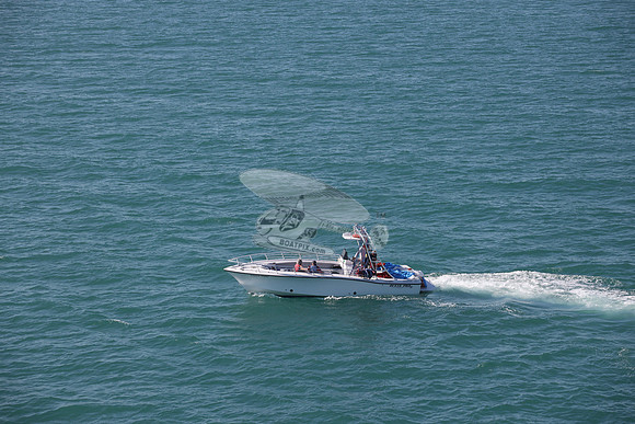 conch flyer.8270