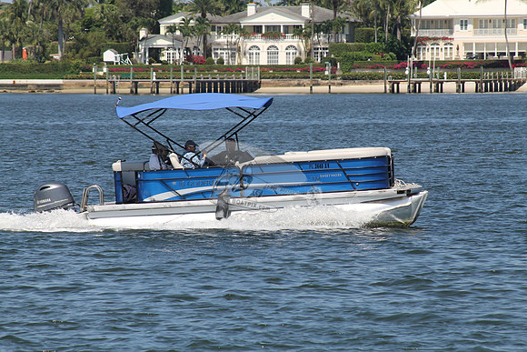 FL2440SV.05