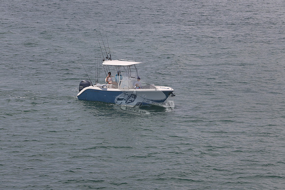 cobia.one yamaha.12
