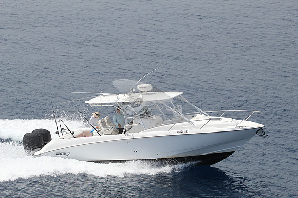 1293867.reel life.boston whaler.07