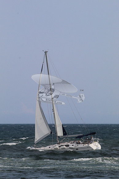 DAFFY.FL..SAIL.09