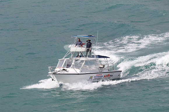 AMI kids dive team.15