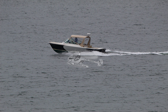 Beagle.09