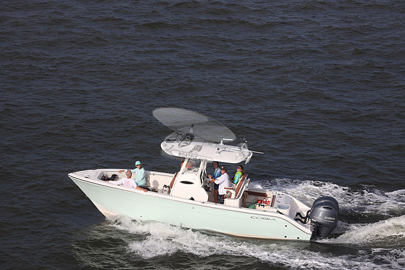 COBIA.LT BLUE HULL.337