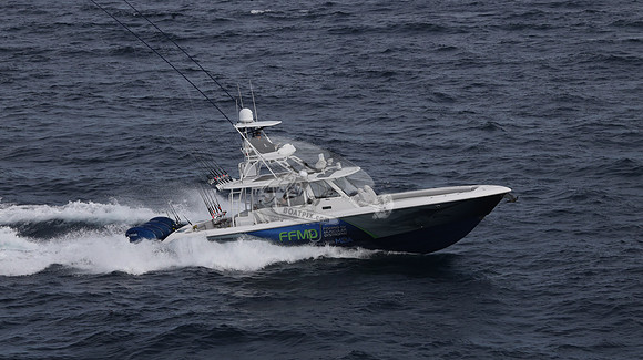 FFMD.EVERGLADES.4 YAMAHA BLUE.2833