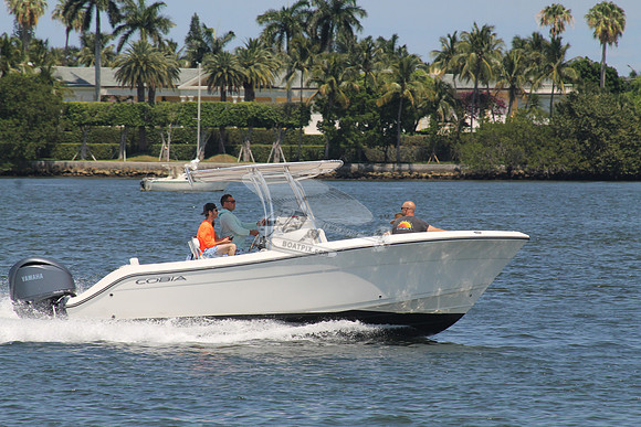 COBIA.07