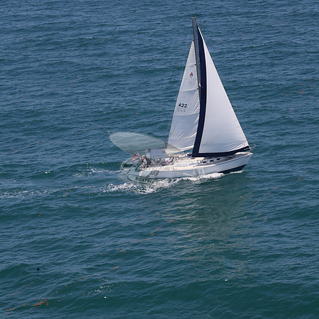 422.FL8313SN..SPIRIT OF THE WIND.21