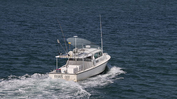 1150151.FISHIN OFF.01