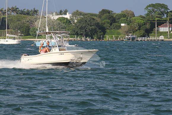FL0786SX.03