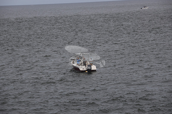 COBIA.1