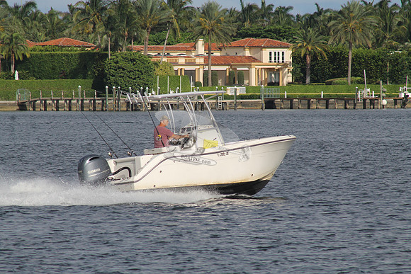 FL2003SU.99