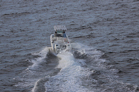 al1604lm.01