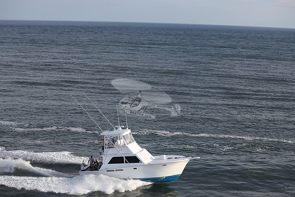 all in.ocean city md.1227
