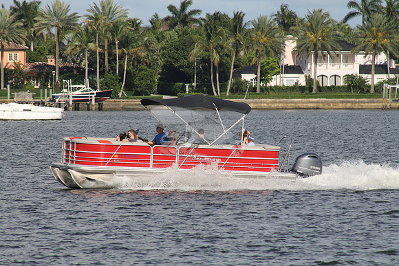FL2397TE.803