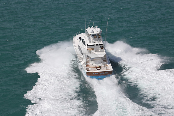 a work of art.orange beach al.9861