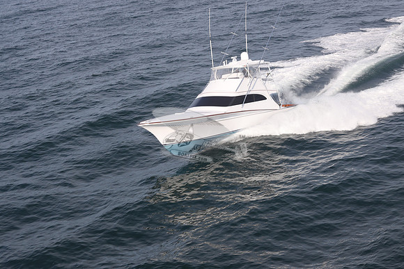ABSOLUT PLEASURE.OCEAN CITY MD.67
