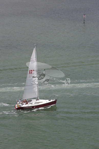 52.FLYING PIG.FL4122MM. 06