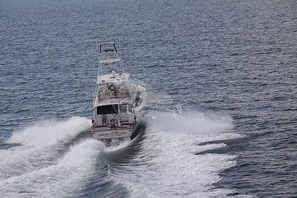american lady.ocean view de.2178