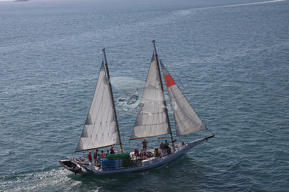 00000.3 sails.8284