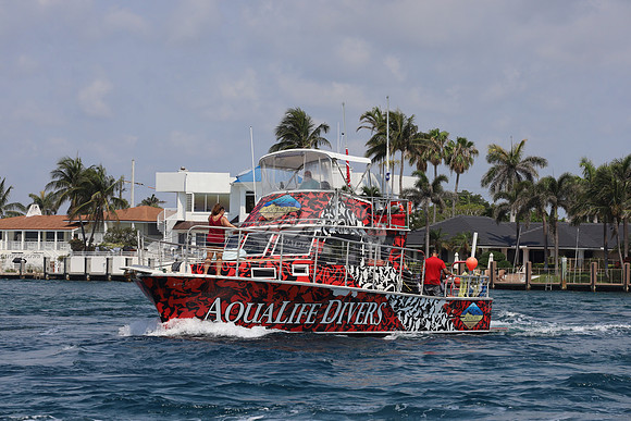 AquaLife Divers.