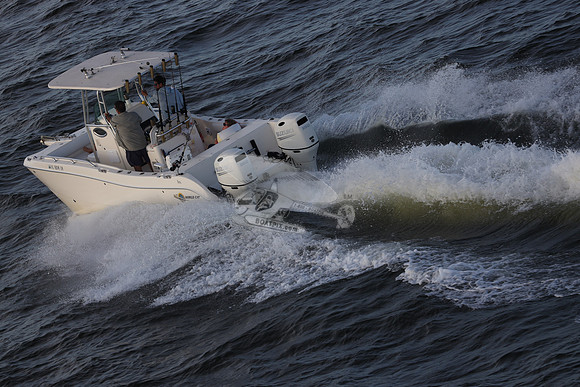 al1604lm.06