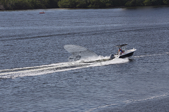 all in.sea hunt.blue.yamaha 250.2